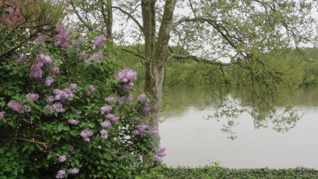 Chambre D'Hotes Au Fil De L'Eau Saint-Martin-Belle-Roche Exteriér fotografie